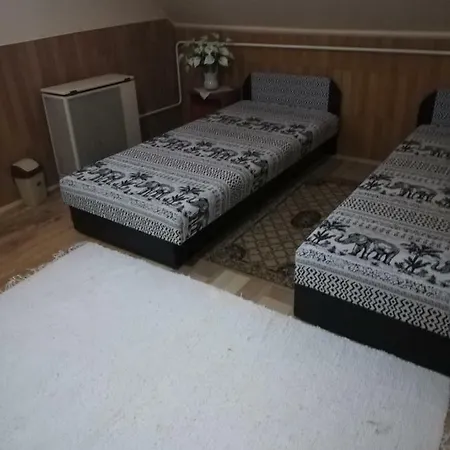 Penzion Szoboszlofonix Vendeghaz *