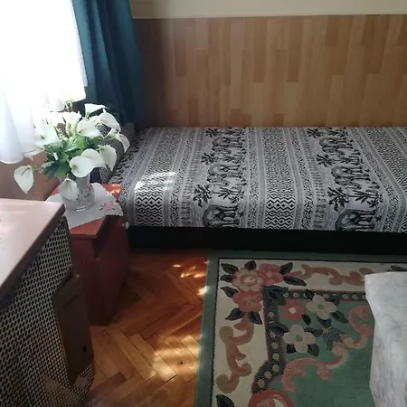 Pensjonat Szoboszlofonix Vendeghaz *