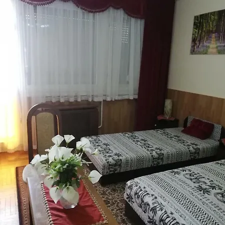 Penzion Szoboszlofonix Vendeghaz