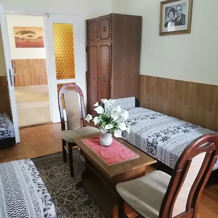 Pensjonat Szoboszlofonix Vendeghaz *