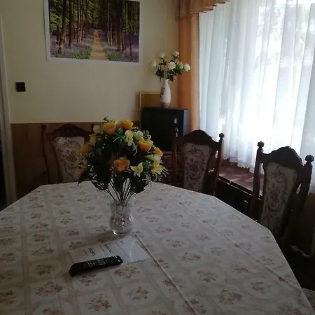Pensjonat Szoboszlofonix Vendeghaz *