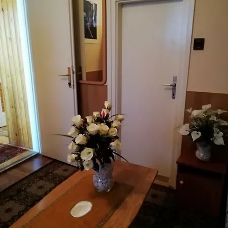 Pensjonat Szoboszlofonix Vendeghaz Hajdúszoboszló