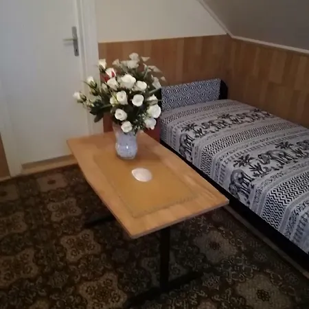 Pensjonat Szoboszlofonix Vendeghaz Hajdúszoboszló